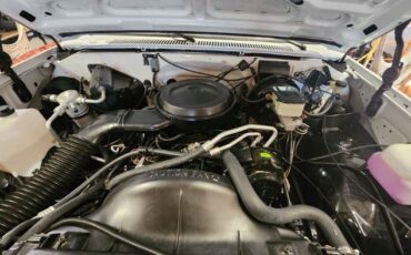 Chevrolet-K10-1987-White-Gray-12