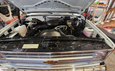 Chevrolet-K10-1987-White-Gray-13