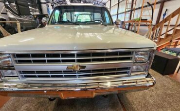 Chevrolet-K10-1987-White-Gray-7