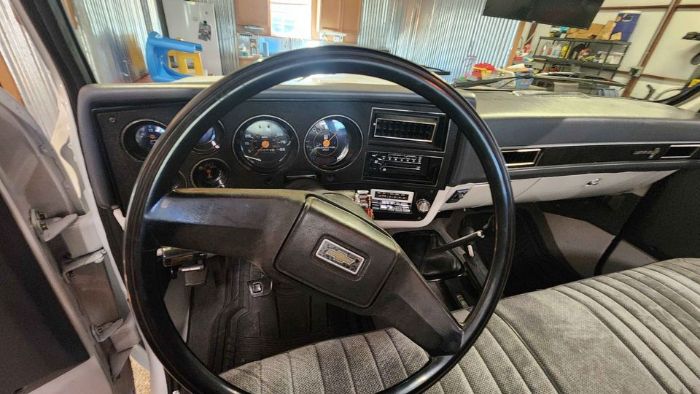 Chevrolet-K10-1987-White-Gray-8
