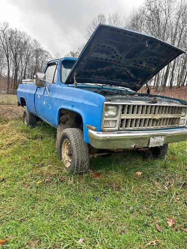 Chevrolet-K20-1976-Blue-Blue-16