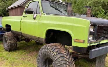 Chevrolet-K20-1985-Green