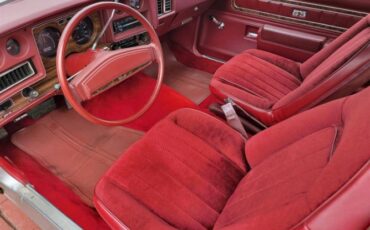 Chevrolet-Laguna-1975-25