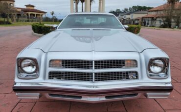 Chevrolet-Laguna-1976-22