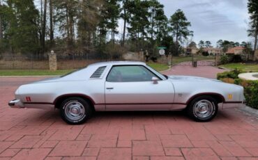 Chevrolet-Laguna-1976-28