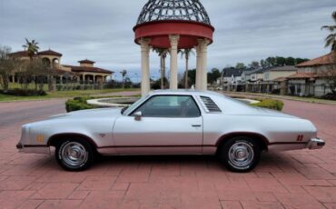 Chevrolet-Laguna-1976-29