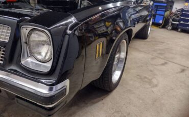 Chevrolet-Malibu-1975-24