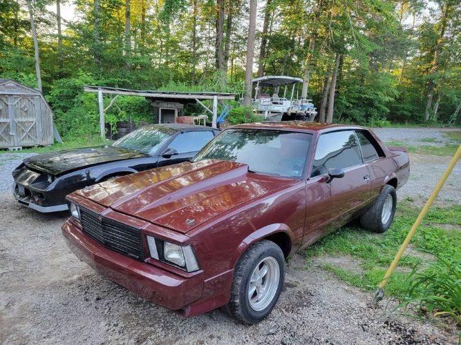 Chevrolet-Malibu-1979-3
