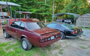 Chevrolet-Malibu-1979-4