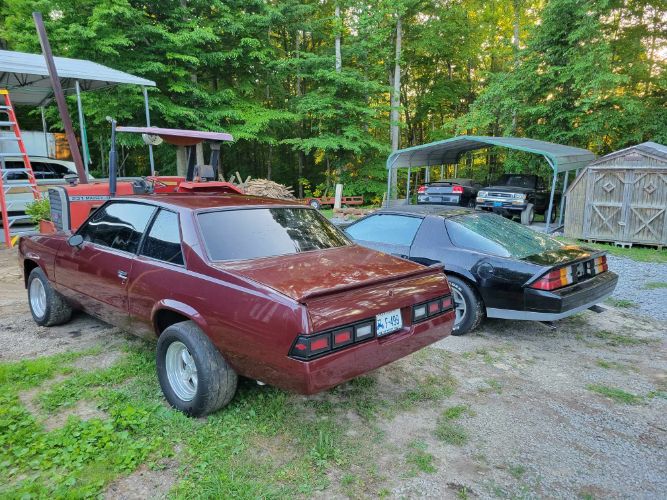 Chevrolet-Malibu-1979-4