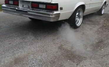Chevrolet-Malibu-1979-6