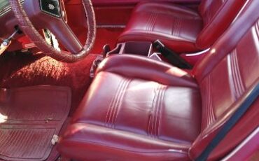 Chevrolet-Malibu-1979-8