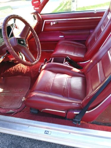 Chevrolet-Malibu-1979-8