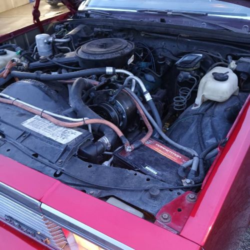 Chevrolet-Malibu-1981-10