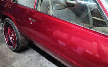 Chevrolet-Malibu-1981-13
