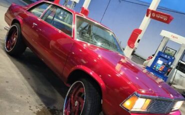 Chevrolet-Malibu-1981-15