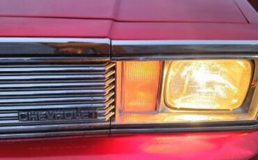 Chevrolet-Malibu-1981-2