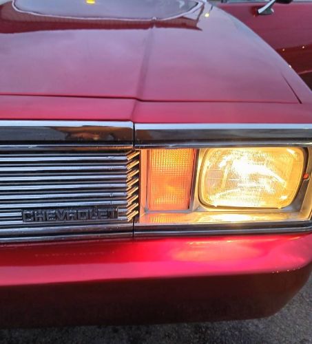 Chevrolet-Malibu-1981-2