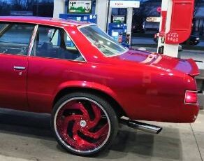 Chevrolet-Malibu-1981-21