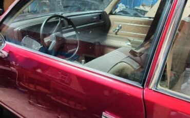 Chevrolet-Malibu-1981-24
