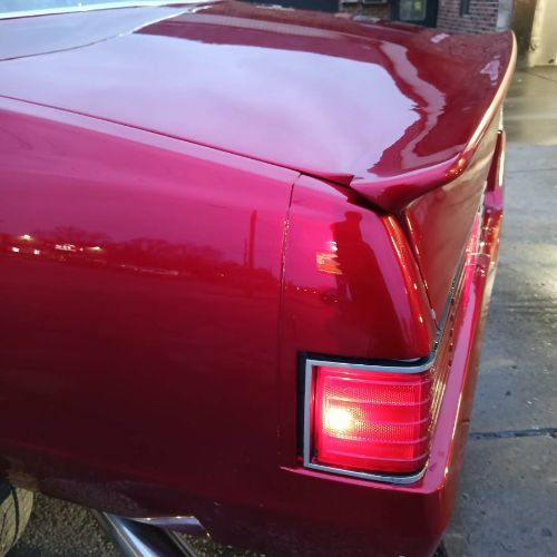 Chevrolet-Malibu-1981-4