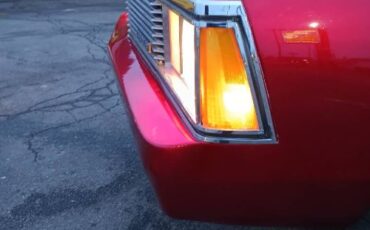 Chevrolet-Malibu-1981-5