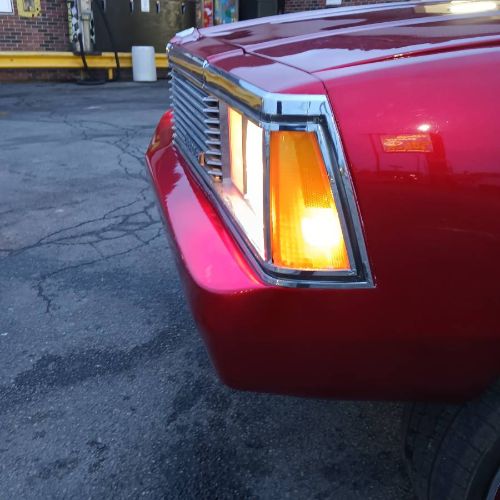 Chevrolet-Malibu-1981-5