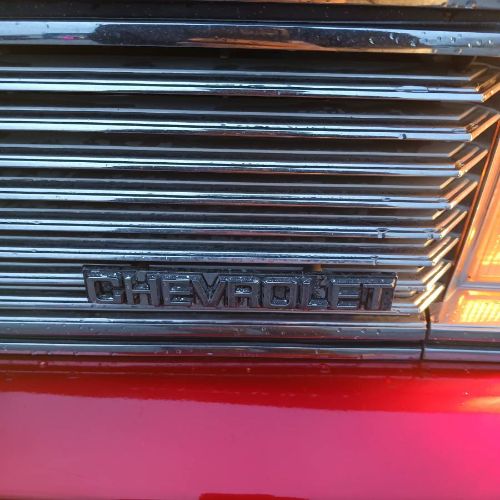 Chevrolet-Malibu-1981-8
