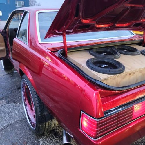 Chevrolet-Malibu-1981-9