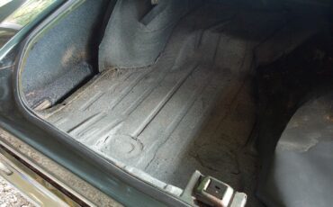 Chevrolet-Monte-Carlo-1971-1