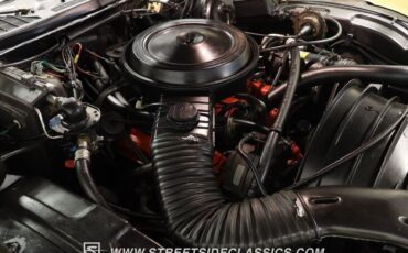 Chevrolet-Monte-Carlo-1976-Coupe-31