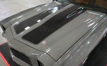 Chevrolet-Monte-Carlo-1976-Coupe-31