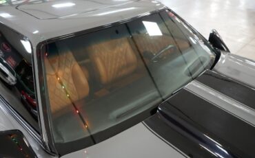 Chevrolet-Monte-Carlo-1976-Coupe-33