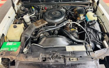 Chevrolet-Monte-Carlo-1984-Coupe-18