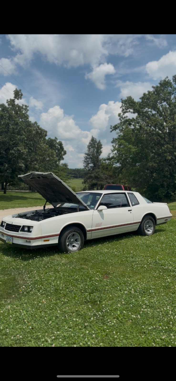Chevrolet-Monte-Carlo-1987-Coupe-18