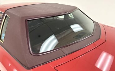 Chevrolet-Monte-carlo-1976-Firethorn-Red-Metall-Dark-Mahogany-31