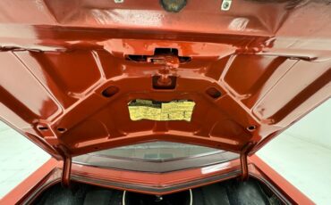 Chevrolet-Monte-carlo-1976-Firethorn-Red-Metall-Dark-Mahogany-40