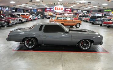 Chevrolet-Monte-carlo-1976-Gray-Tan-20