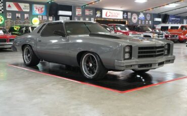 Chevrolet-Monte-carlo-1976-Gray-Tan-28