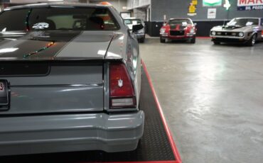 Chevrolet-Monte-carlo-1976-Gray-Tan-3