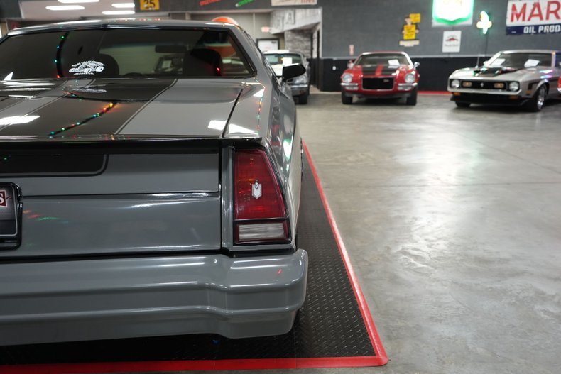 Chevrolet-Monte-carlo-1976-Gray-Tan-3