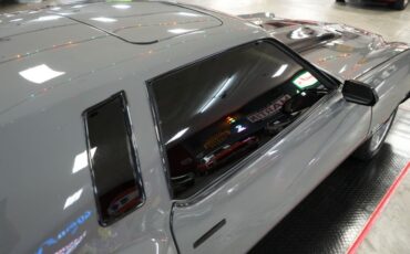 Chevrolet-Monte-carlo-1976-Gray-Tan-39
