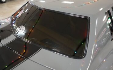 Chevrolet-Monte-carlo-1976-Gray-Tan-47
