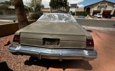 Chevrolet-Monte-carlo-1977-21