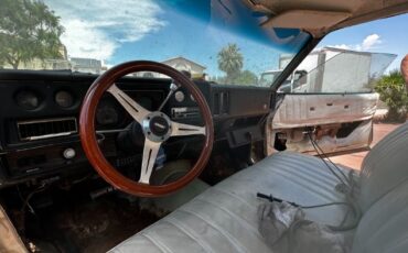 Chevrolet-Monte-carlo-1977-3