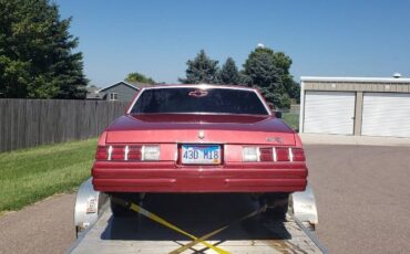 Chevrolet-Monte-carlo-1980-1