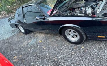 Chevrolet-Monte-carlo-1981-Black-Black