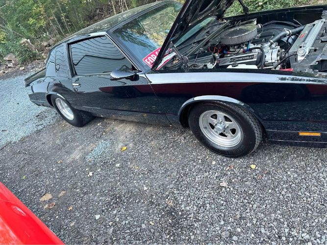Chevrolet-Monte-carlo-1981-Black-Black