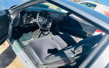Chevrolet-Monte-carlo-1982-Silver-Black-7