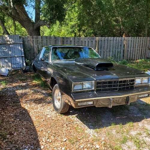 Chevrolet-Monte-carlo-1983-5